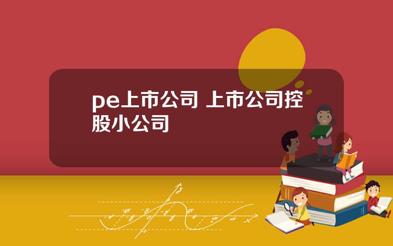 pe上市公司 上市公司控股小公司